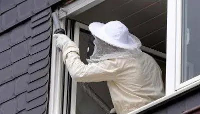 Schädlingsbekämpfer im Schutzanzug bei der Wespennest-Entfernung am Fenster
